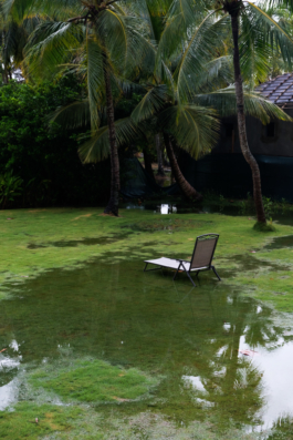 Beach Las Terrenas Dominican Republic Tereza Munnigh 