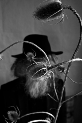 Artist Painter Jiri Cerny Tereza Munnigh https://jiricerny.com 